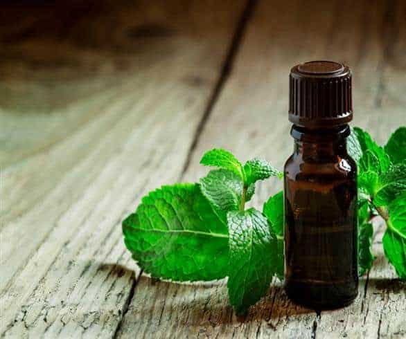 Enhance Your Mood and Memory
