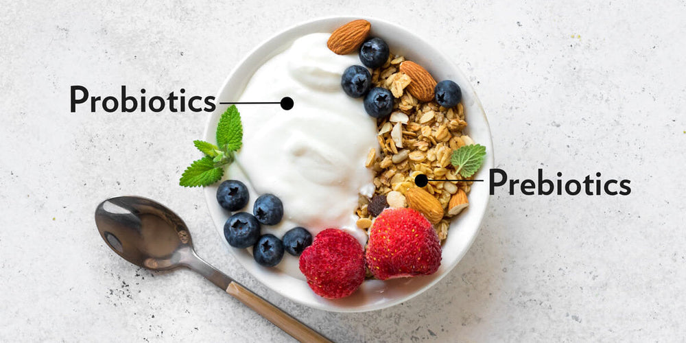 Probiotic vs Prebiotic: What's the Difference, and Do You Need Both?