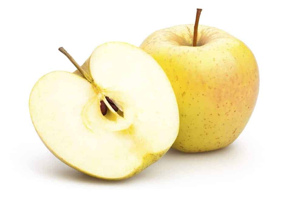 Health Canada has Approved the Genetically Modified Apple