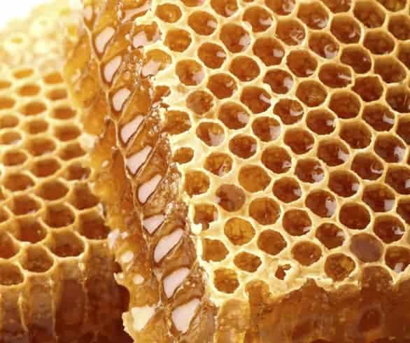 Powerful properties of beeswax