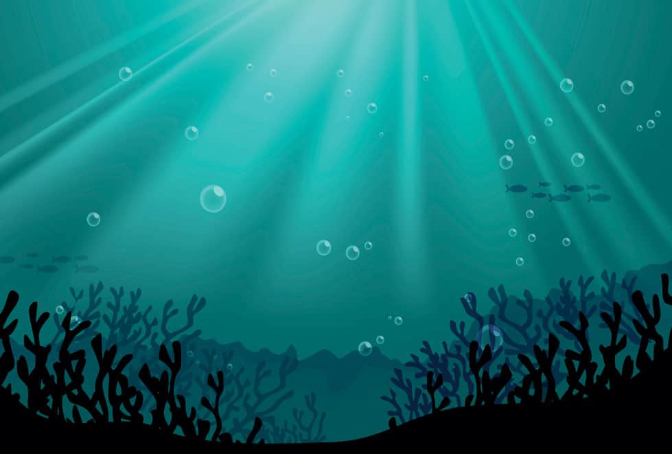 More Evidence that Sunscreen is Toxic to Coral Reefs