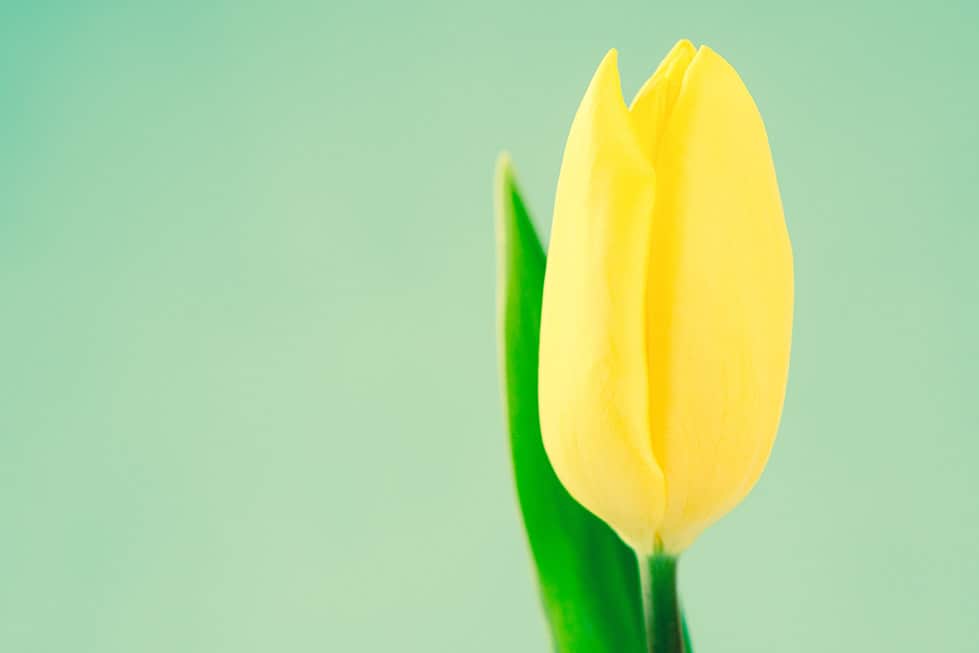 Natural Fertility Boosters