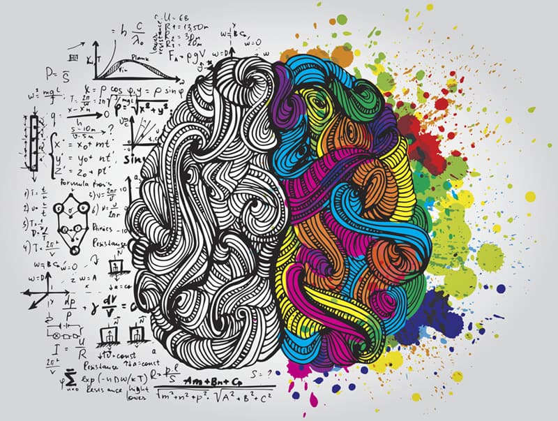 Brain Power