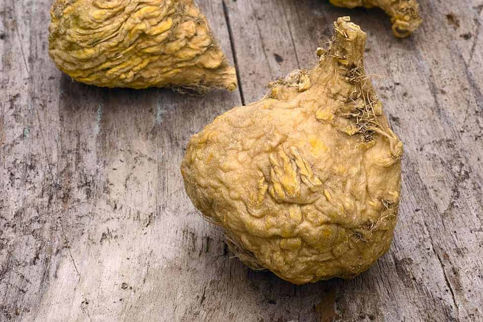 Maca Root