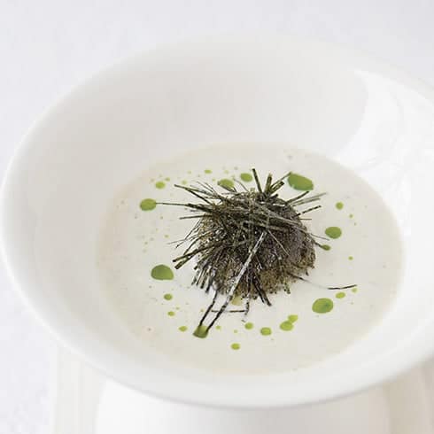 Scallop Soup