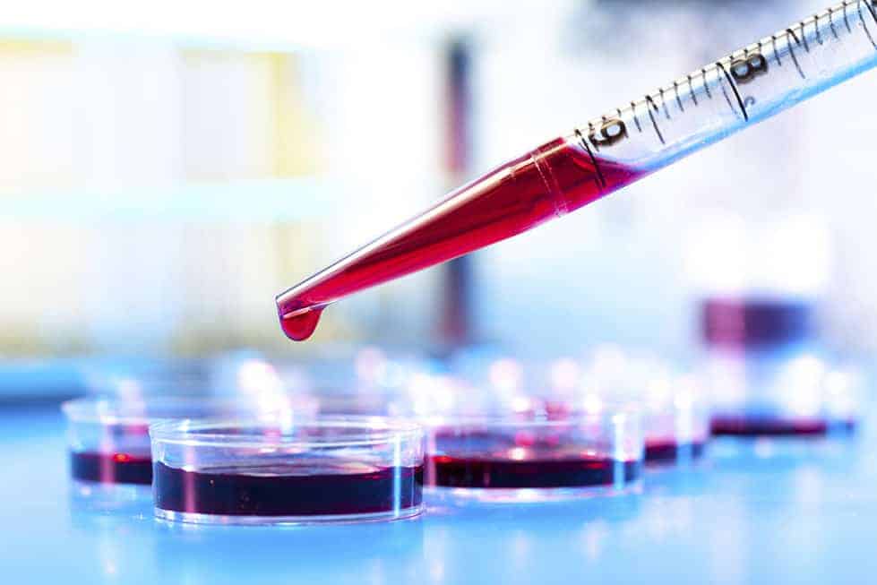 Canadians Vote for Health and Medical Research