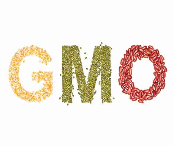 It’s time to take action: help establish GMO labelling!