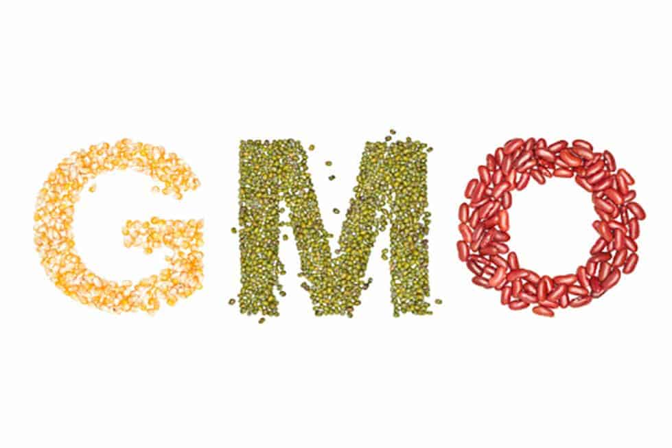 GMO Labeling: What’s in your Food?
