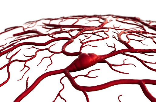 Treating the heart, helping the brain