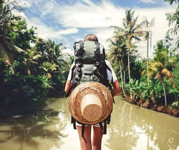PRO TRAVELLER