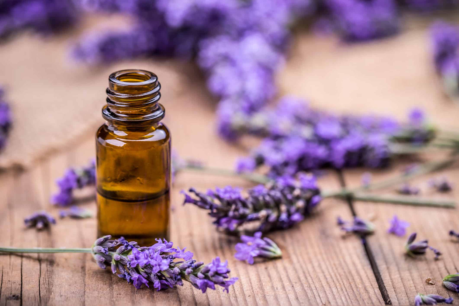 Which essential oils help to combat headaches?