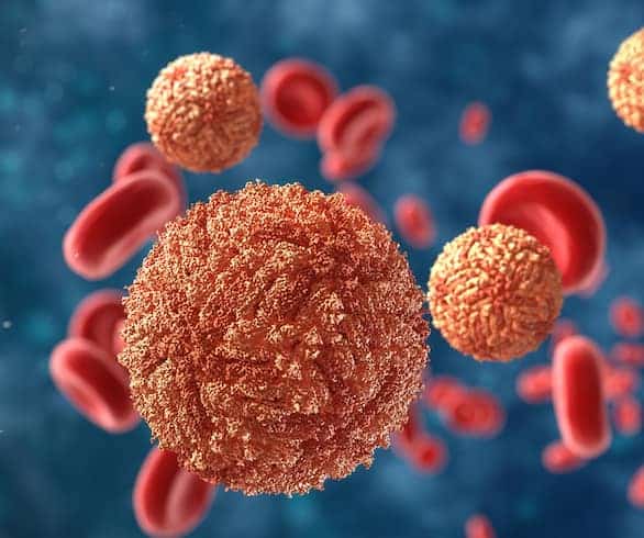 Canadian researchers join international fight against Zika