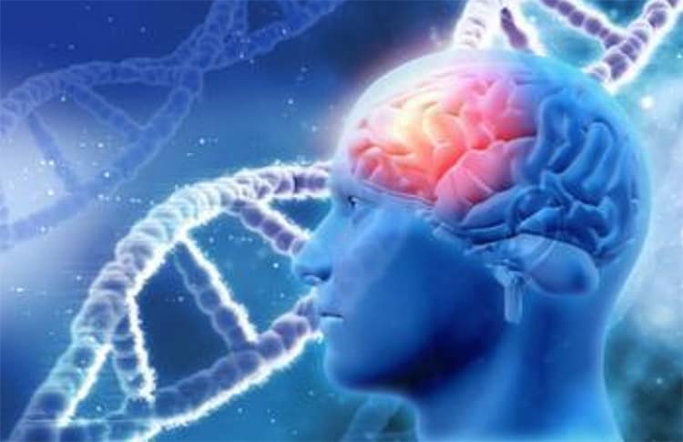 Alzheimer’s preventative care and approach with natural health supplements