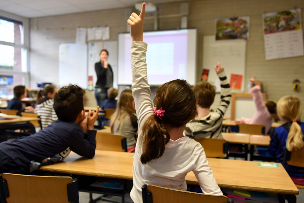 How Dust, Mold & Pollen Spike at Back-to-School
