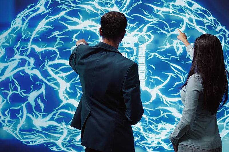 The Brain Power Cheat Sheet: Your Smart, Feel-Good Guide to Thinking Sharper Every Day