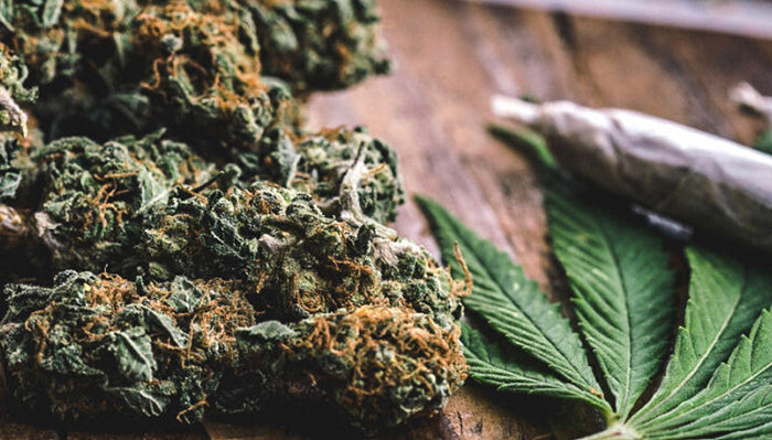 What to know about cannabis and bipolar disorder