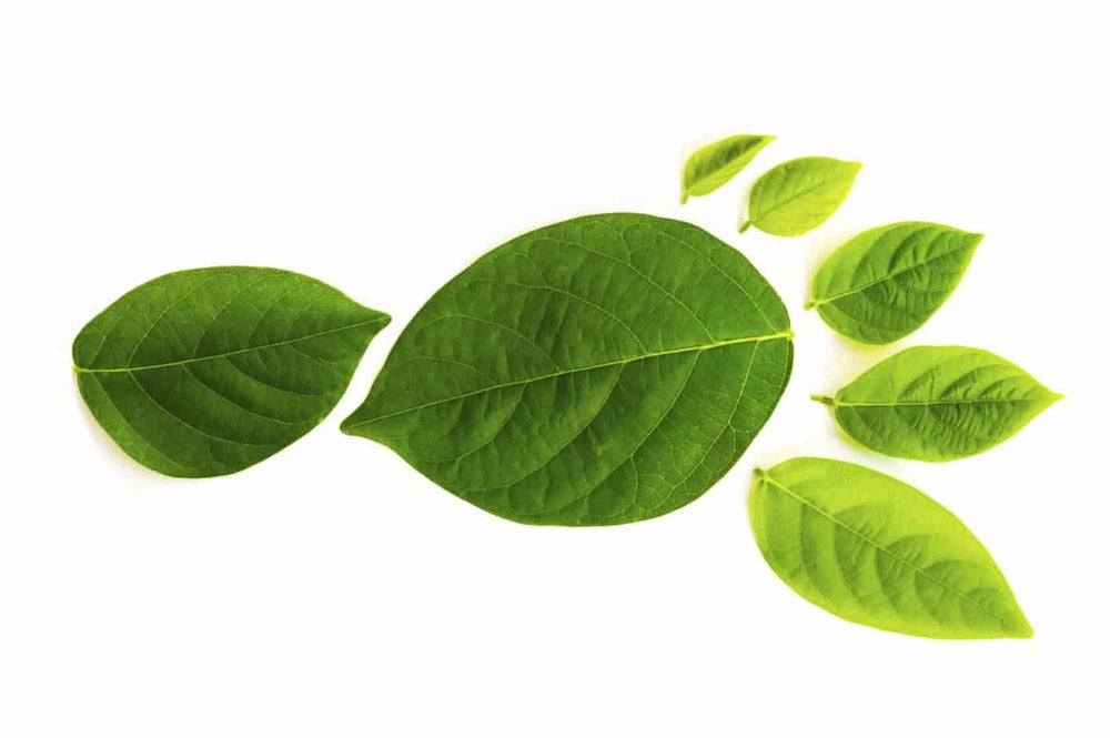 Cutting down your food’s carbon footprint