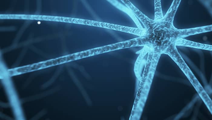 New pain organ discovered in the skin
