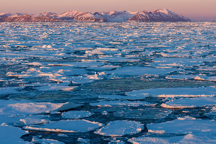 Blame it on Climate change…