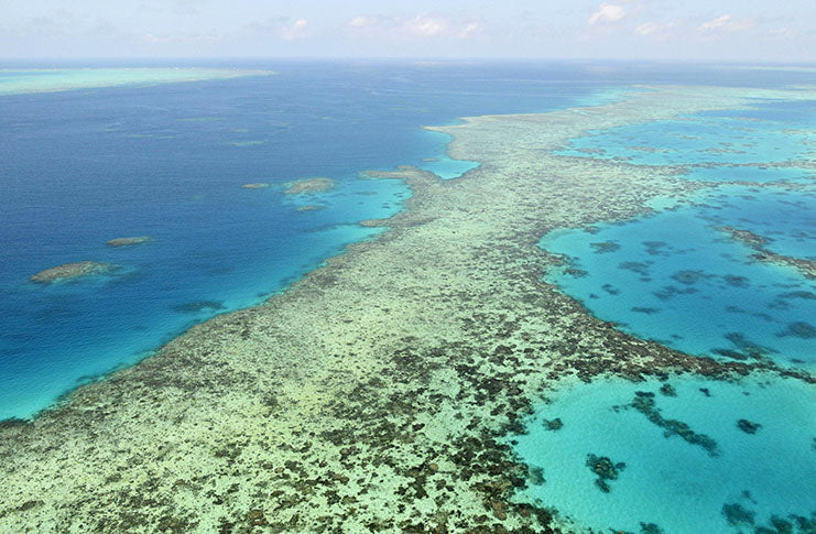 Australia fights UN downgrade of Great Barrier Reef health