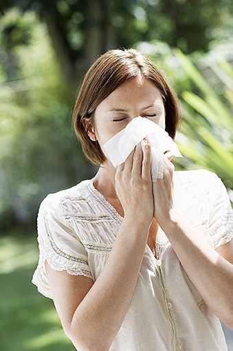 Year-round Allergies