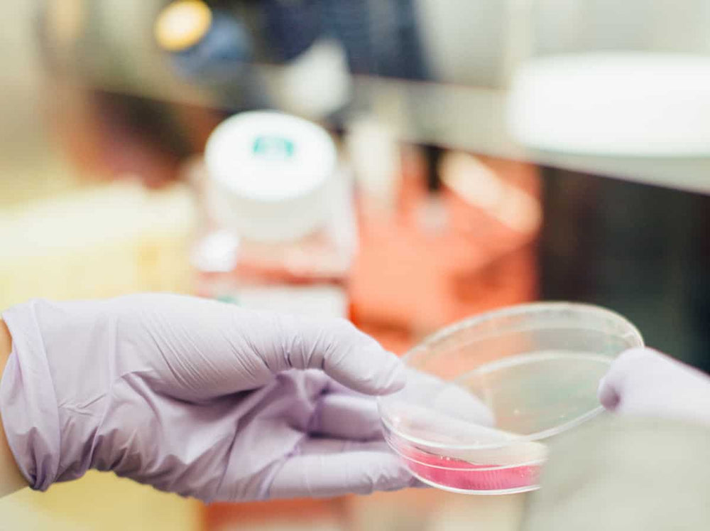 A cure for Cancer? Despite one company’s claims, many experts are uncertain