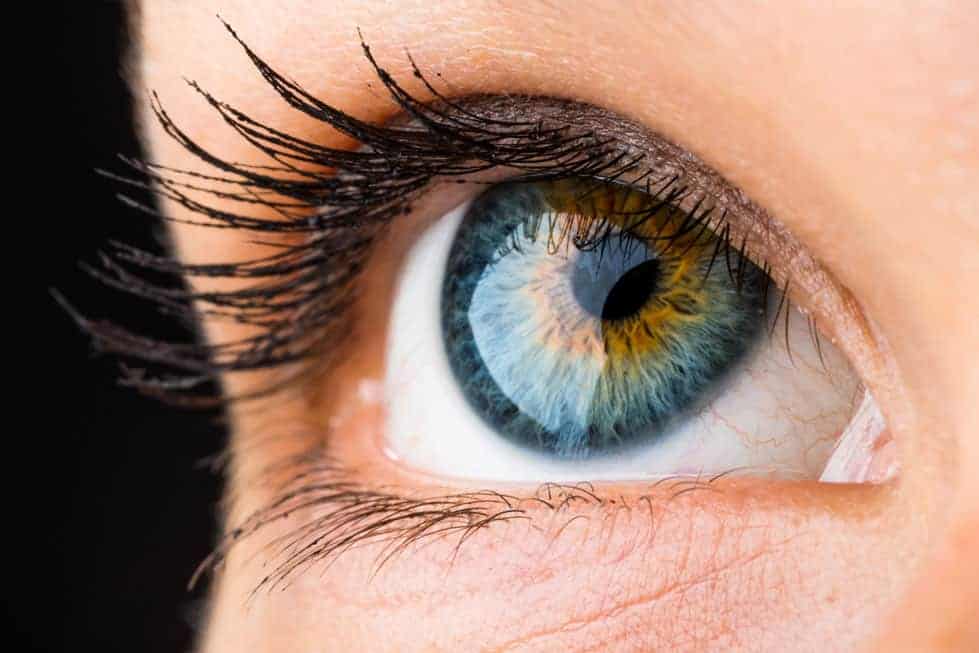 Does your eye colour put you at an increased risk of alcoholism?