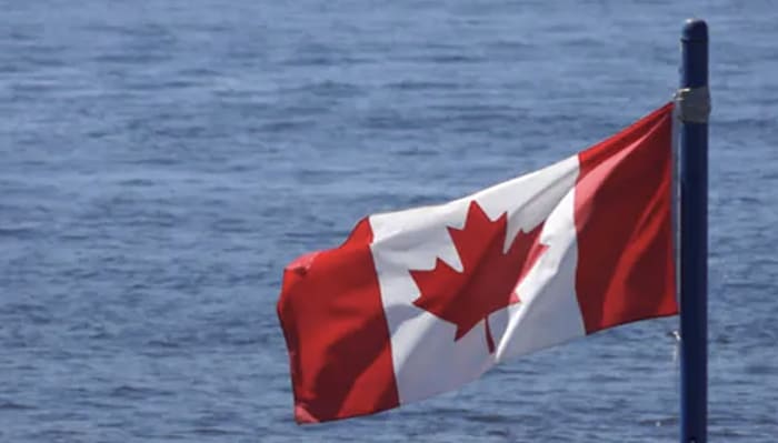 Unauthorized Health Products Harm Canadians, Health Canada Warns; And Will Enforce Action if Needed
