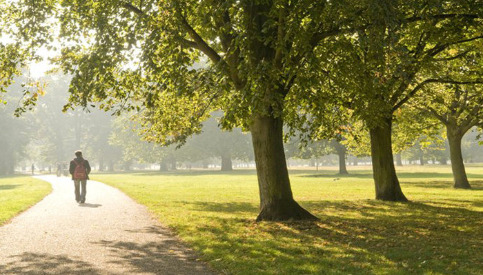 UK Government backs research on the link between nature and mental health