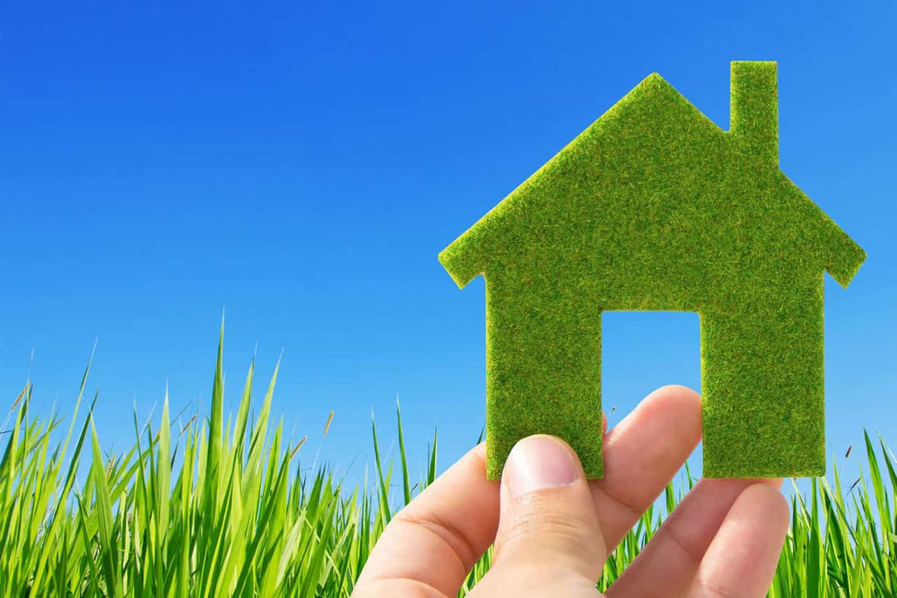 Green up your home