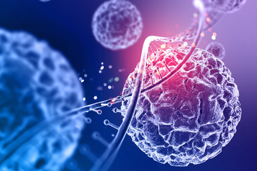 What You Need to Know About High-Dose Vitamin C for Cancer Care