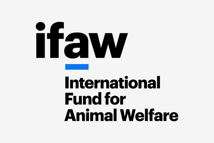 Renewed urgency to protect right whales after newly released estimates shows the population continues declining