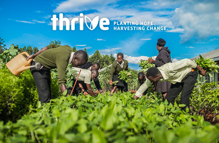 Thrive on Kilimanjaro: The Climb for 5,000 Life Gardens