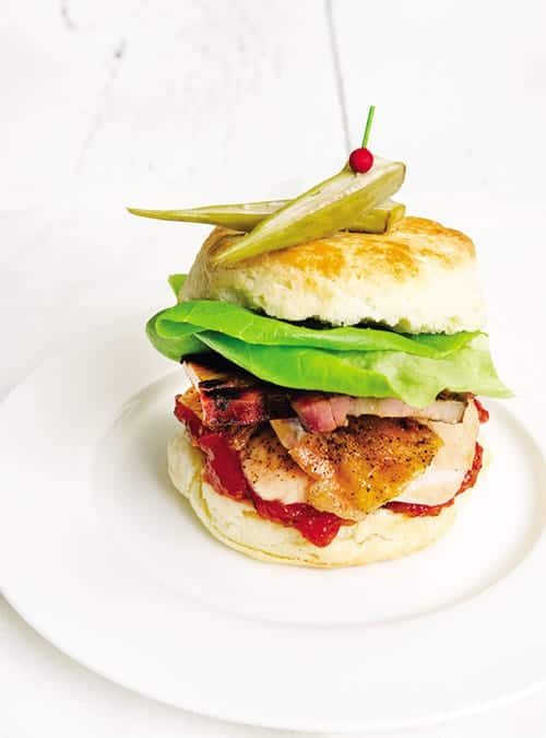 Leftover – Turkey – bits