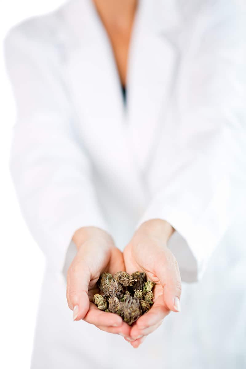Marijuana Allergies