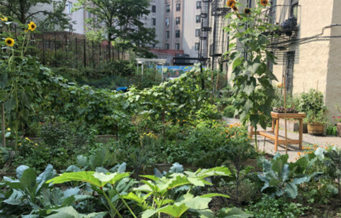 Nature’s Path Organic Foods: Sowing Seeds of Goodness in 2023!