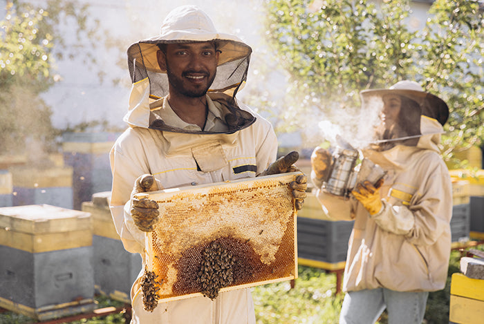 Protecting the Bees: A Decade Later