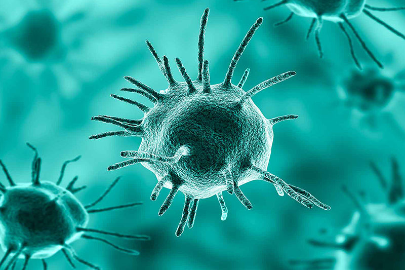 Parasites 101: How They Sneak In, How Your Body Fights Back, and Foods That Help