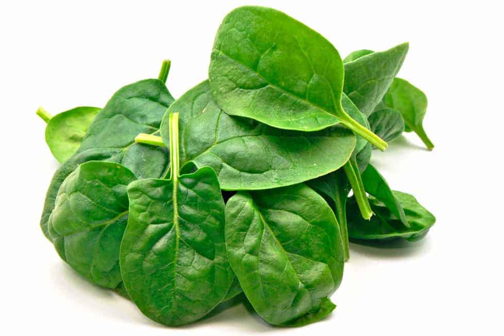 Spinach Recall