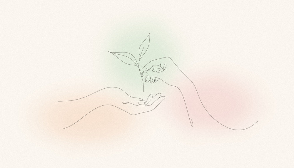 Line drawing of one woman's hand passing a young sprout into another's open palm, representing care and the next step in hormone-positive breast cancer treatment