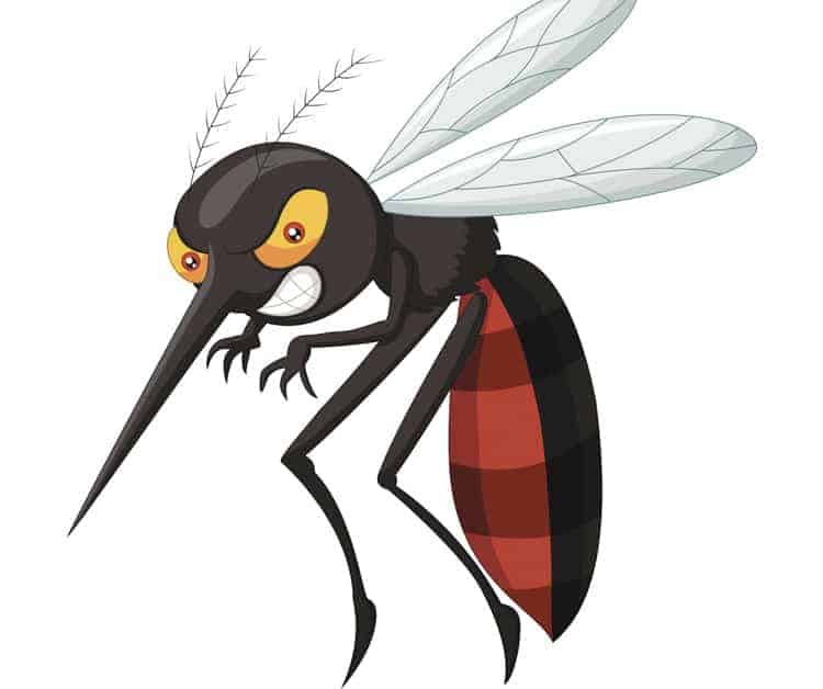 Buzz Off!