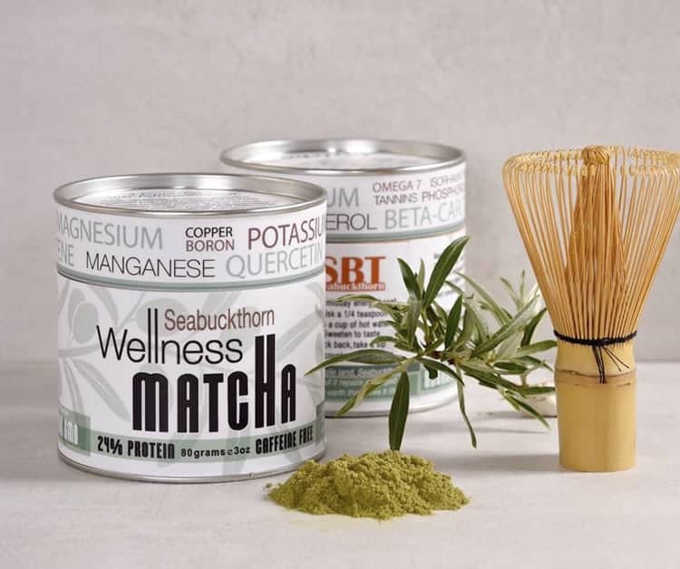 Seabuckthorn Wellness Matcha