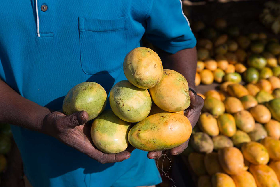 Wild African Mango