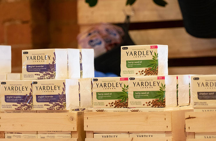 VIVA’s Reader Health and Wellness Essentials Pick for this winter