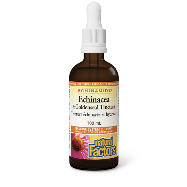 NATURAL FACTORS Echinamide Anti-Cold Tincture  (100 ml)