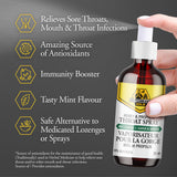 Dutchman's Gold Honey and Propolis Throat Spray