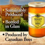 Dutchman's Gold Summer Blossom Honey