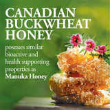 Dutchman's Gold Buckwheat Honey