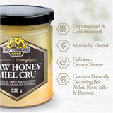 Dutchman's Gold Organic Raw Honey 330 g