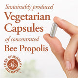 Dutchman's Gold Bee Propolis 500 mg 90 caps
